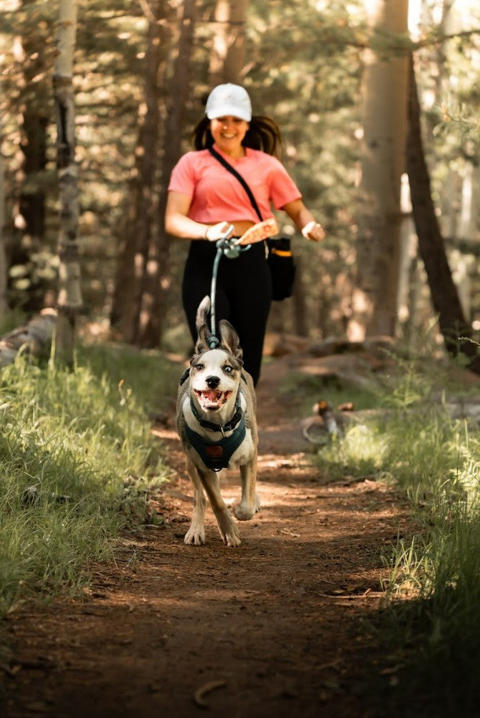 Woman jogging in a forest trail with her happy dog on a leash, showcasing the Pup Pak dog water bottle in action. The bottle is ideal for keeping pets hydrated during outdoor activities like running, hiking, and exploring nature. The lush greenery and forest setting emphasize the product's functionality for adventurous outings.