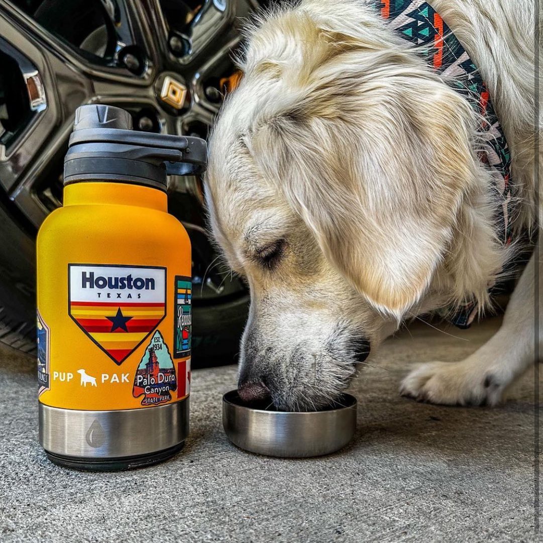White dog drinking from the cap of a yellow Pup Pak dog water bottle, adorned with Houston, Texas stickers. The bottle is perfect for keeping pets hydrated during road trips and outdoor adventures. The vehicle wheel in the background emphasizes the product's convenience for travel and on-the-go hydration, making it an essential accessory for pet owners who love to explore.