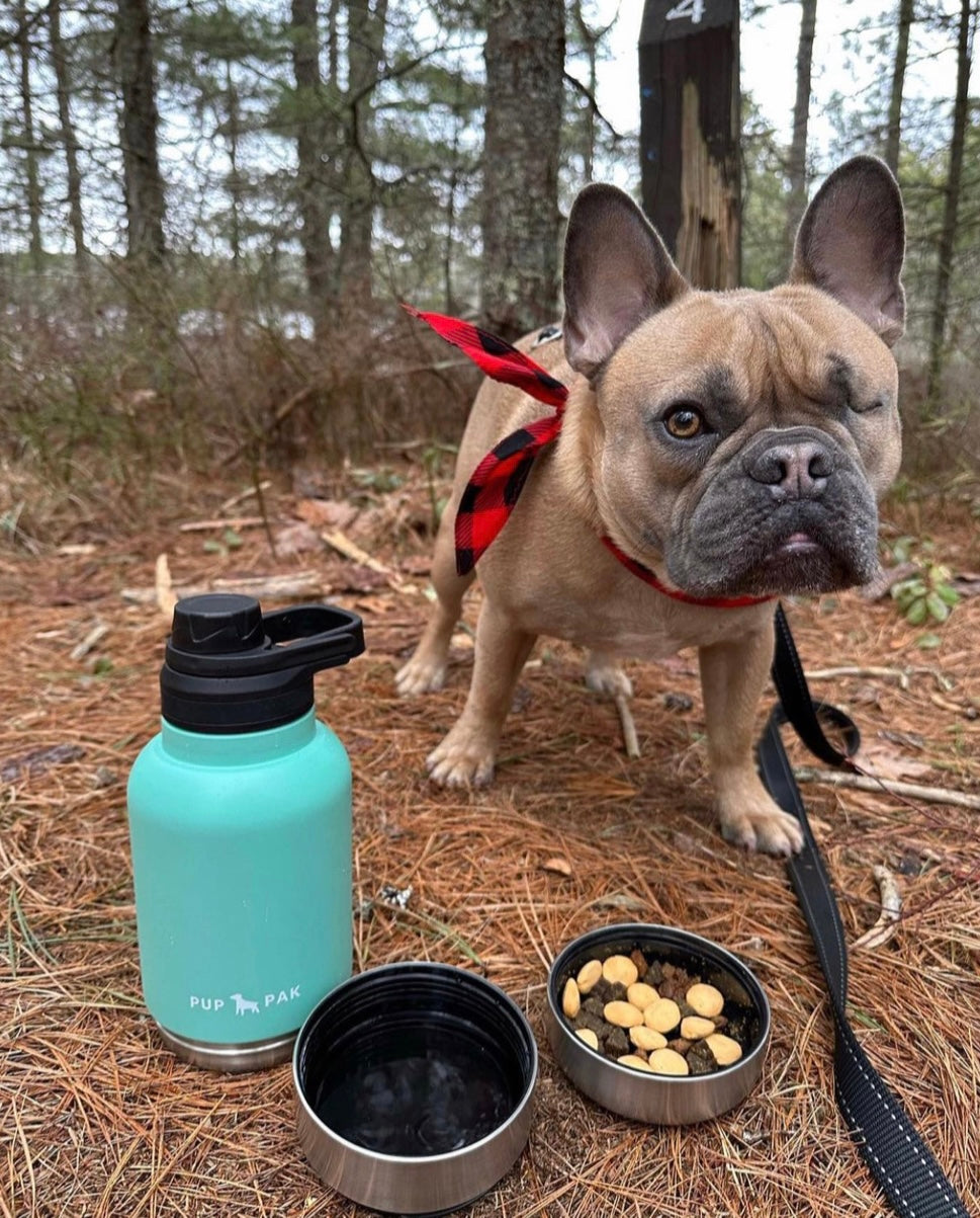 One-eyed French Bulldog wearing a red bandana, standing next to a aqua Pup Pak dog water bottle in a forest. The bottle is perfect for keeping pets hydrated during hikes and outdoor adventures. The cap is used as a water dish and a snack container, showcasing the product's multifunctional design. The wooded background highlights the practicality and convenience of the Pup Pak for nature outings.