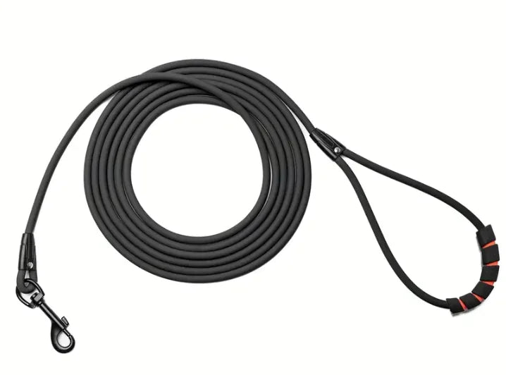 Tangle-Free Dog Leash