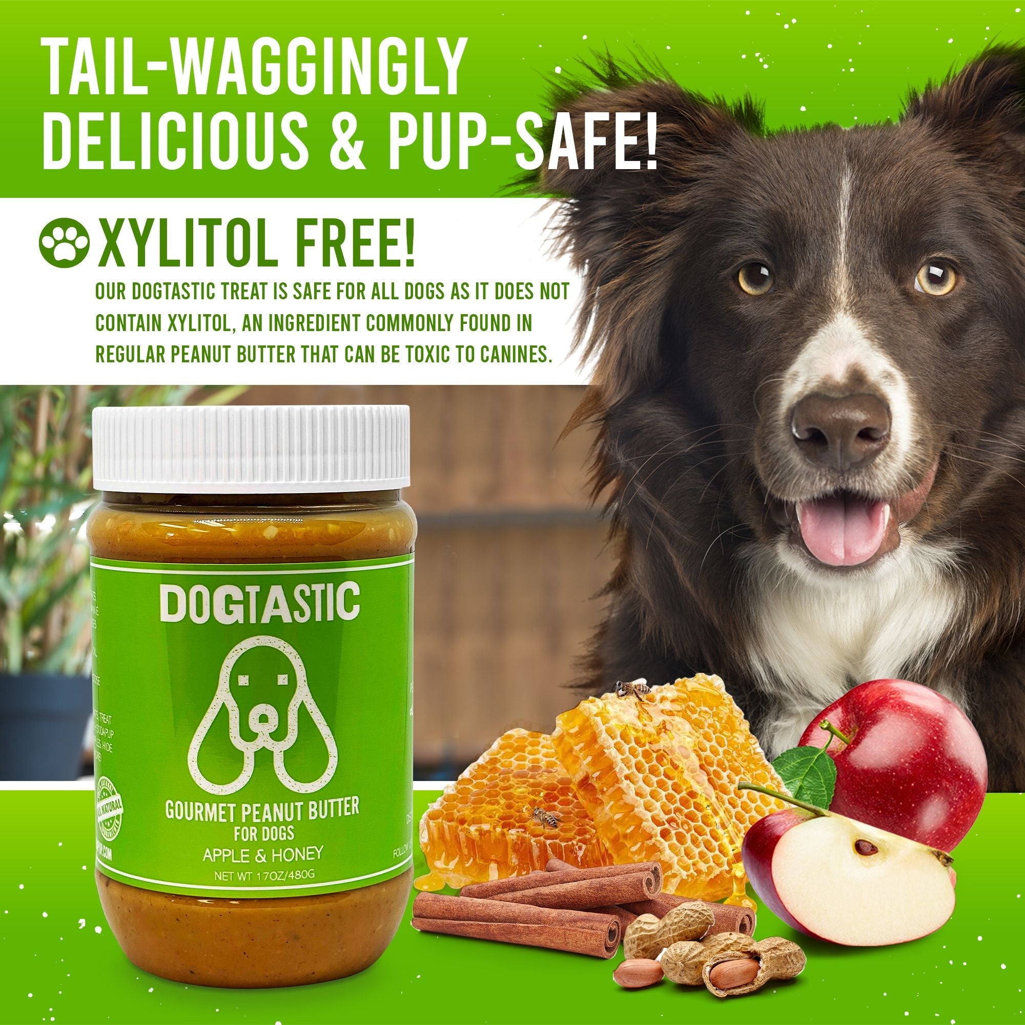 Gourmet Peanut Butter for Dogs - Pumpkin & Honey Flavor