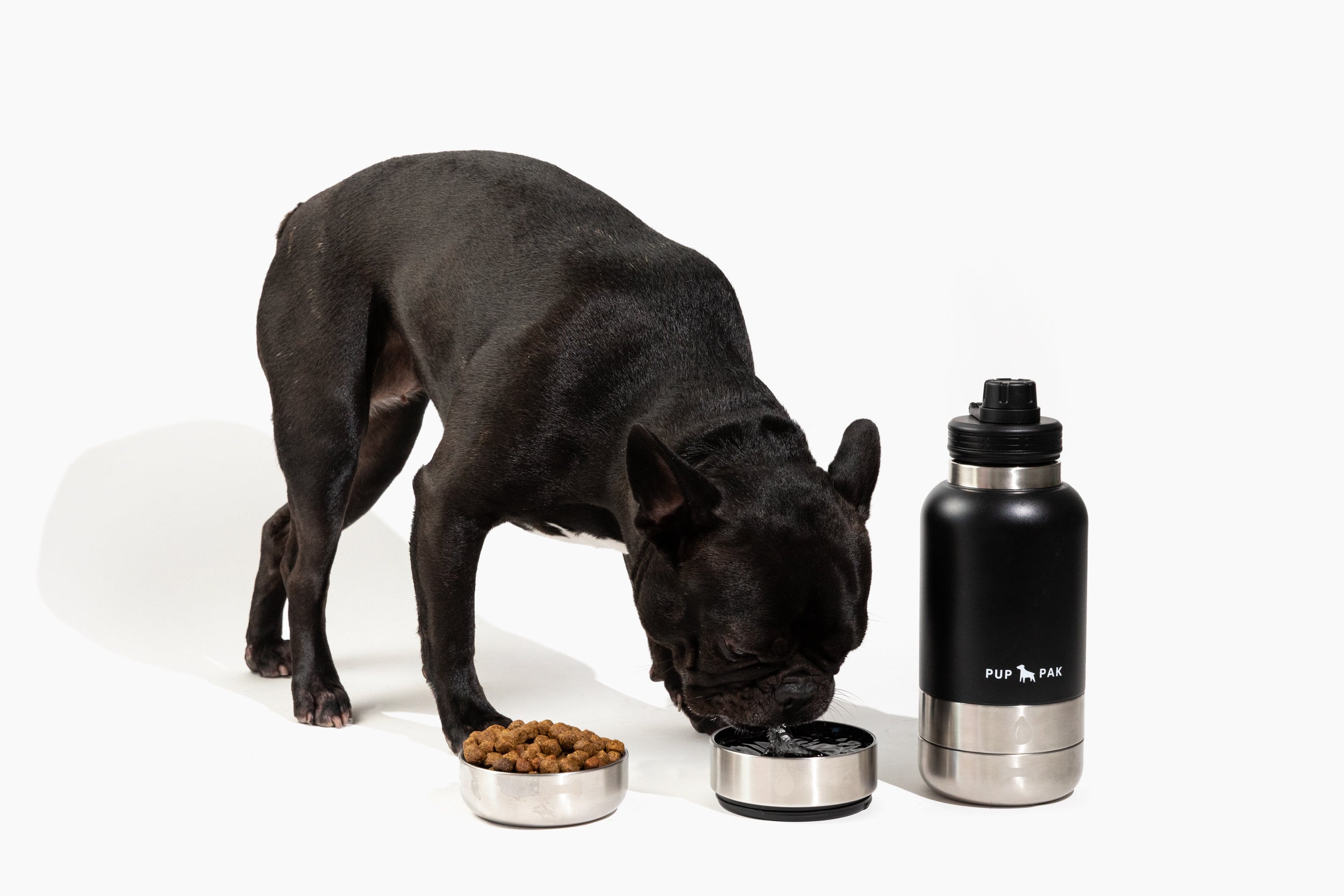Black dog drinking from the cap of a black Pup Pak dog water bottle with a bowl of kibble beside it. The Pup Pak bottle is designed for easy pet hydration and feeding during travel and outdoor activities. The stainless steel design ensures durability and convenience, making it perfect for pet owners on the go.