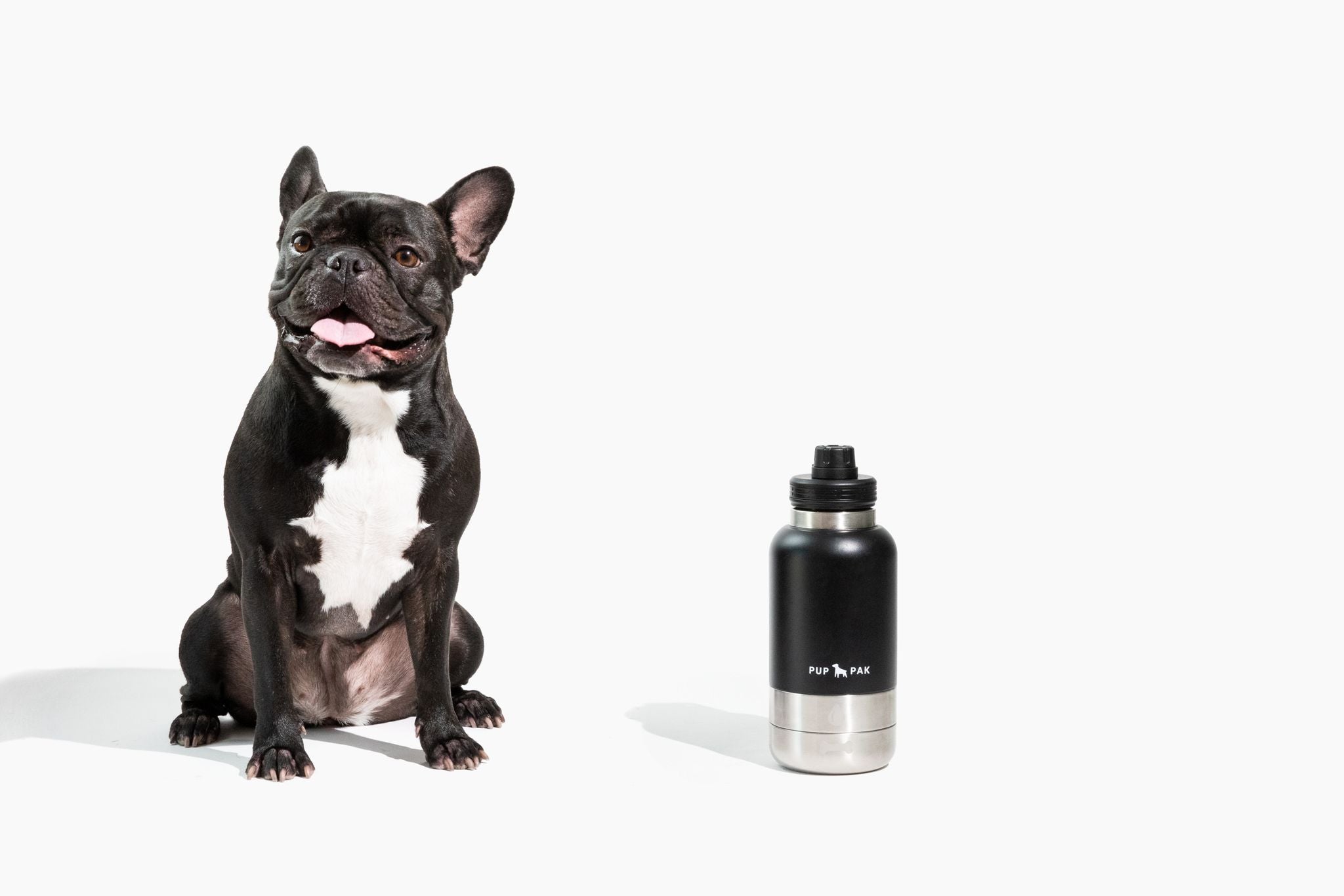 Black and white French Bulldog sitting next to a black Pup Pak dog water bottle. The bottle is designed for pet hydration and features a stainless steel bottom, making it durable and convenient for travel and outdoor activities. The minimalist white background emphasizes the sleek design and functionality of the Pup Pak.