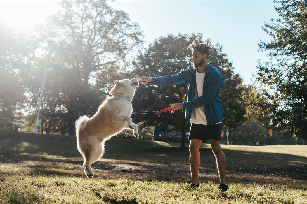 Unleashing Happiness: A Guide to Keeping Your Furry Friend Engaged and Happy