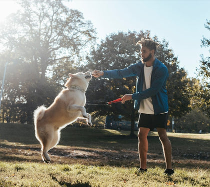 Unleashing Happiness: A Guide to Keeping Your Furry Friend Engaged and Happy