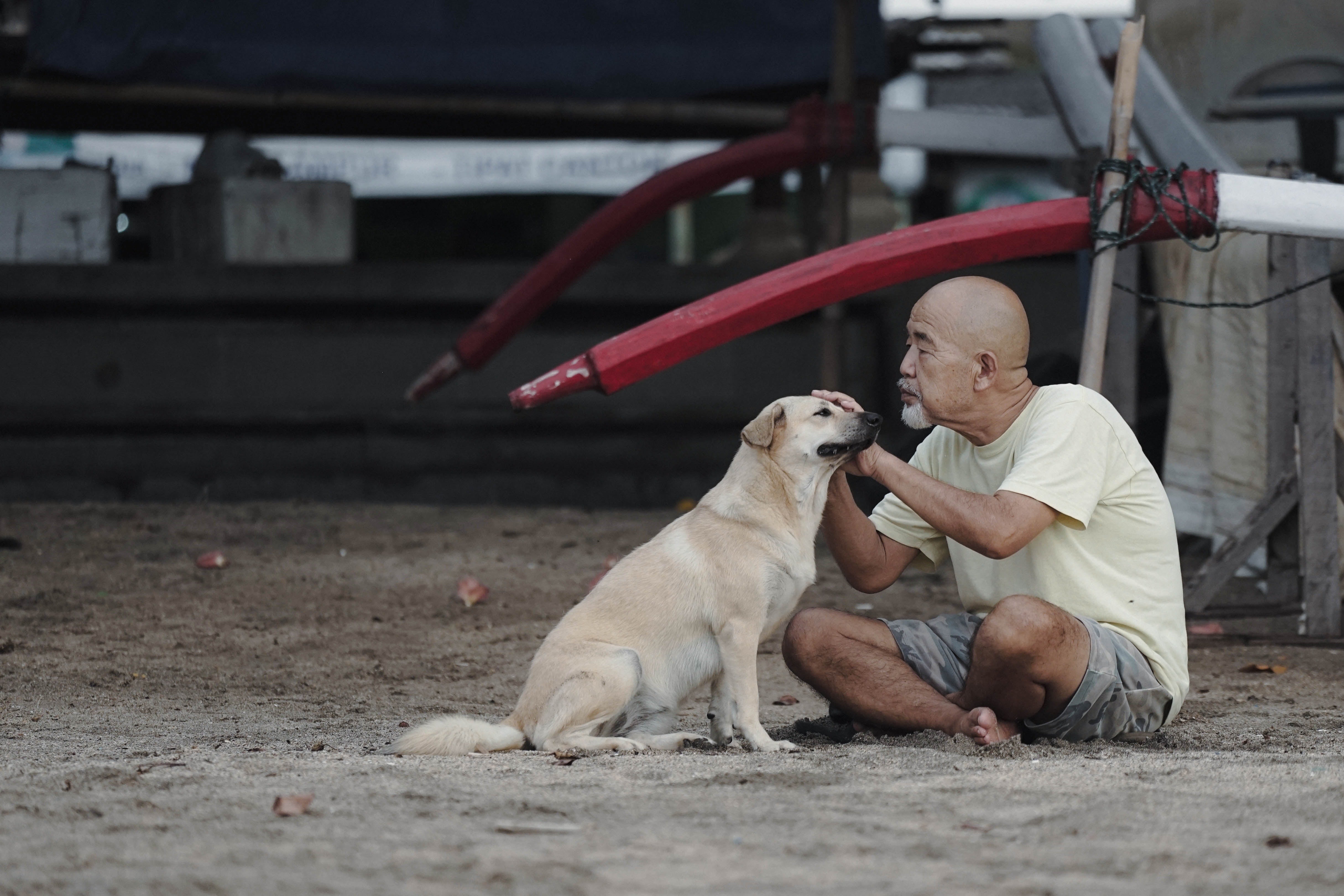 Unraveling the Canine Mind: Exploring the Intriguing Behavior and Psychology of Dogs