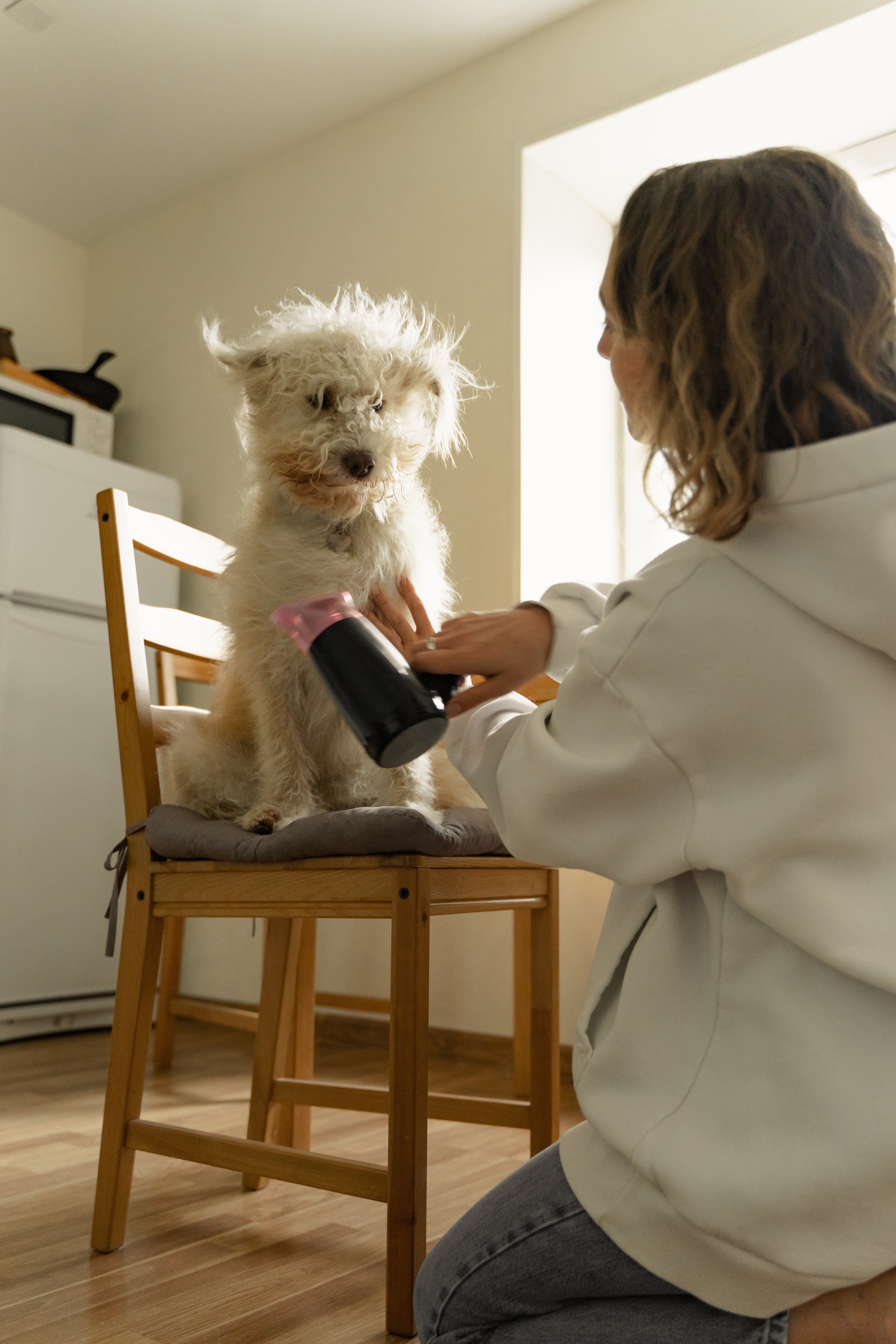 Top 10 Dog Grooming Tips for a Healthy and Happy Pup